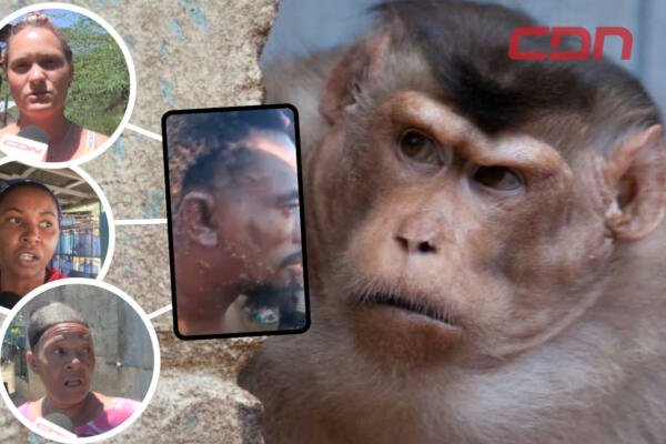 Presunto caso registrado de viruela del mono en El Jobo de Padre Las Casas mantiene aterrados a moradores. Foto CDN Digital