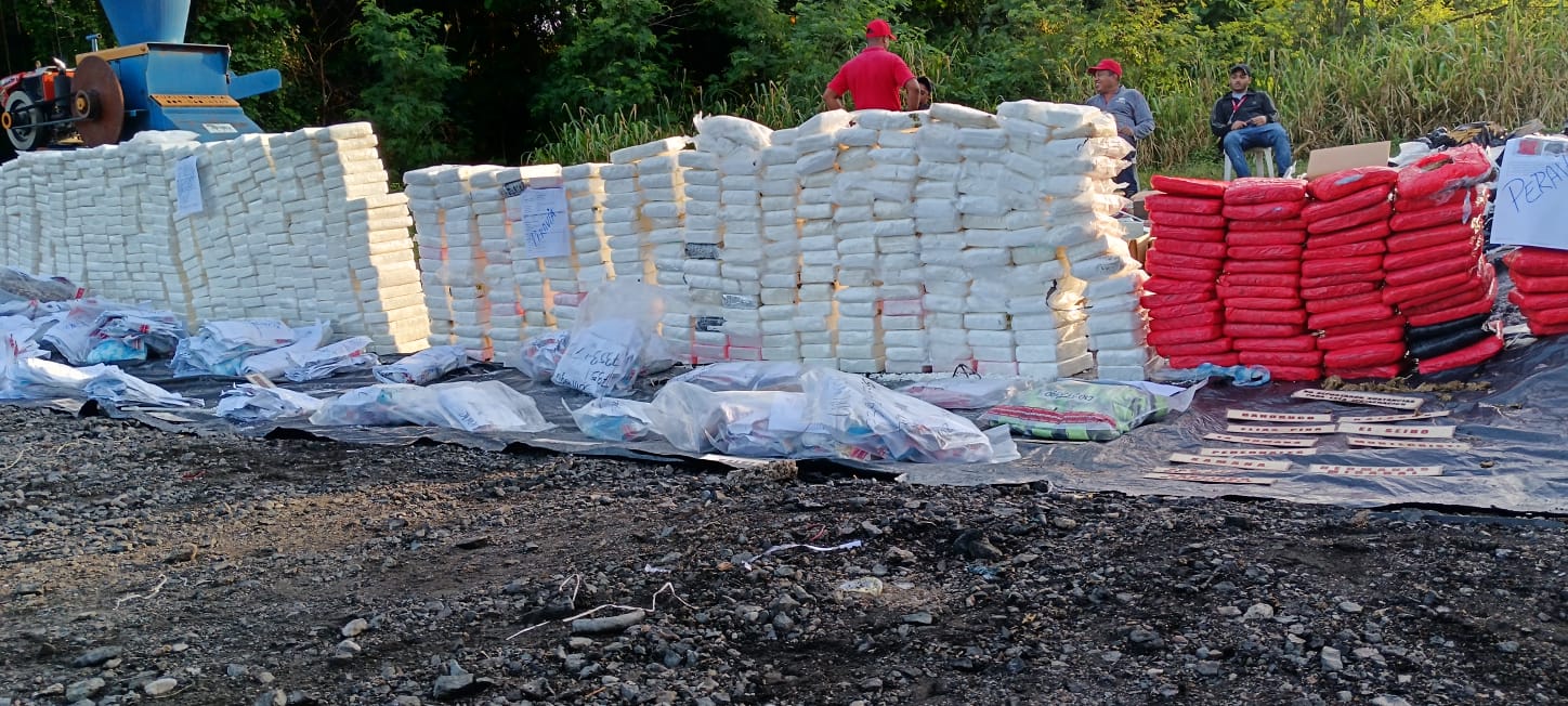 Procuraduría quema más 900 kilogramos de drogas. Foto: Fuente externa
