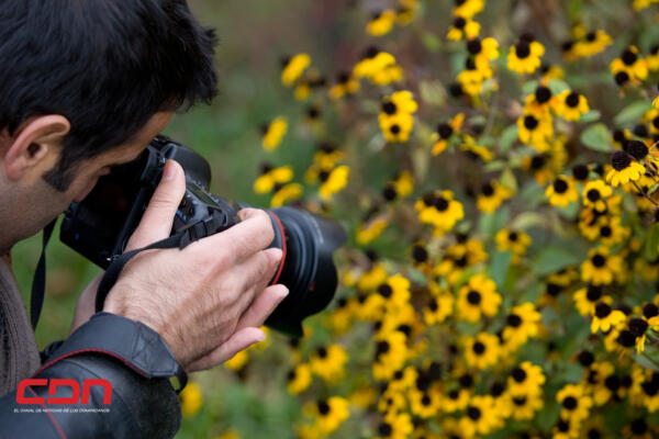 Hoy Día Internacional de la Fotografía