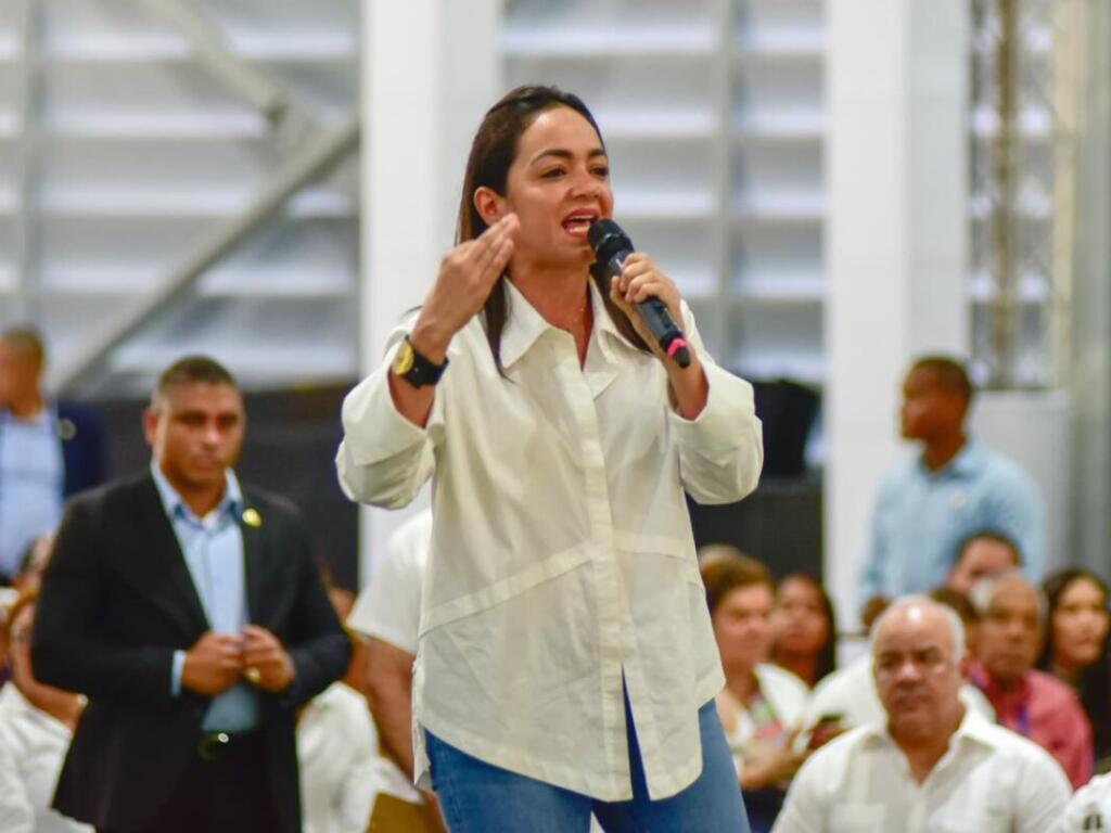 El legado de Faride Raful: Proyectos de Ley que marcan un antes y un después