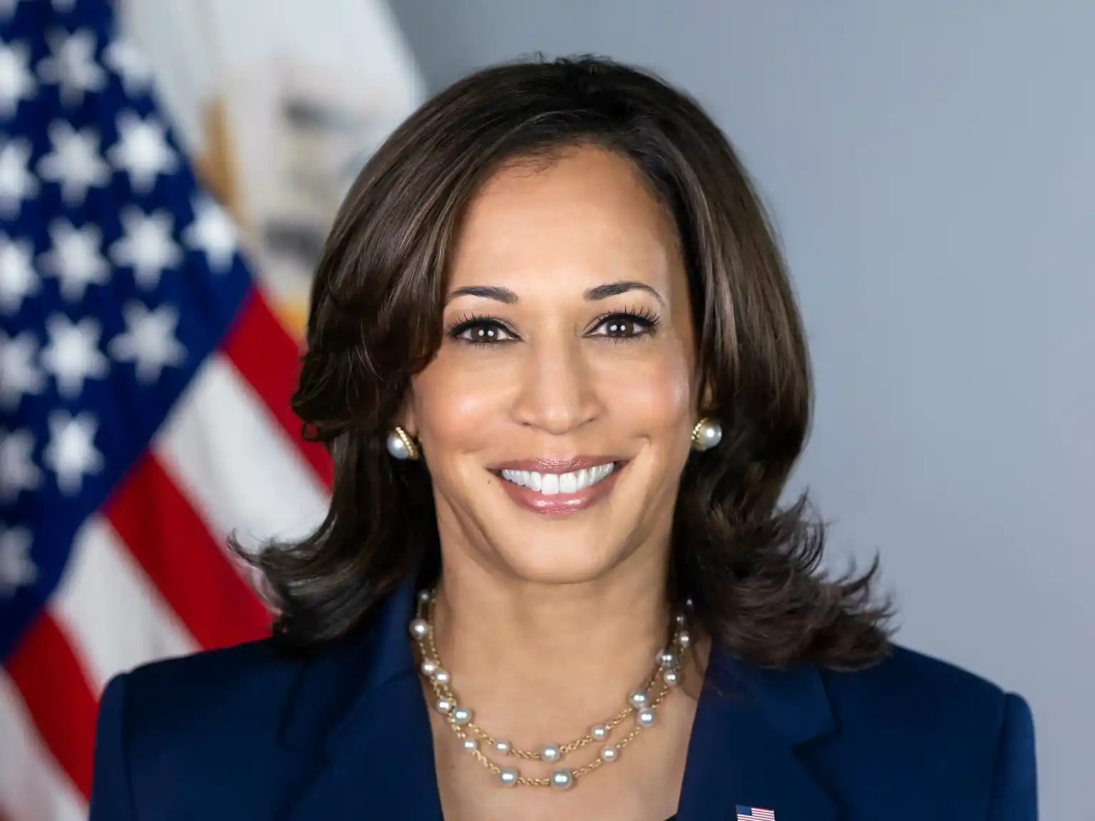 Kamala Harris se convierte en la candidata demócrata a la Presidencia de Estados Unidos. Foto fuente externa