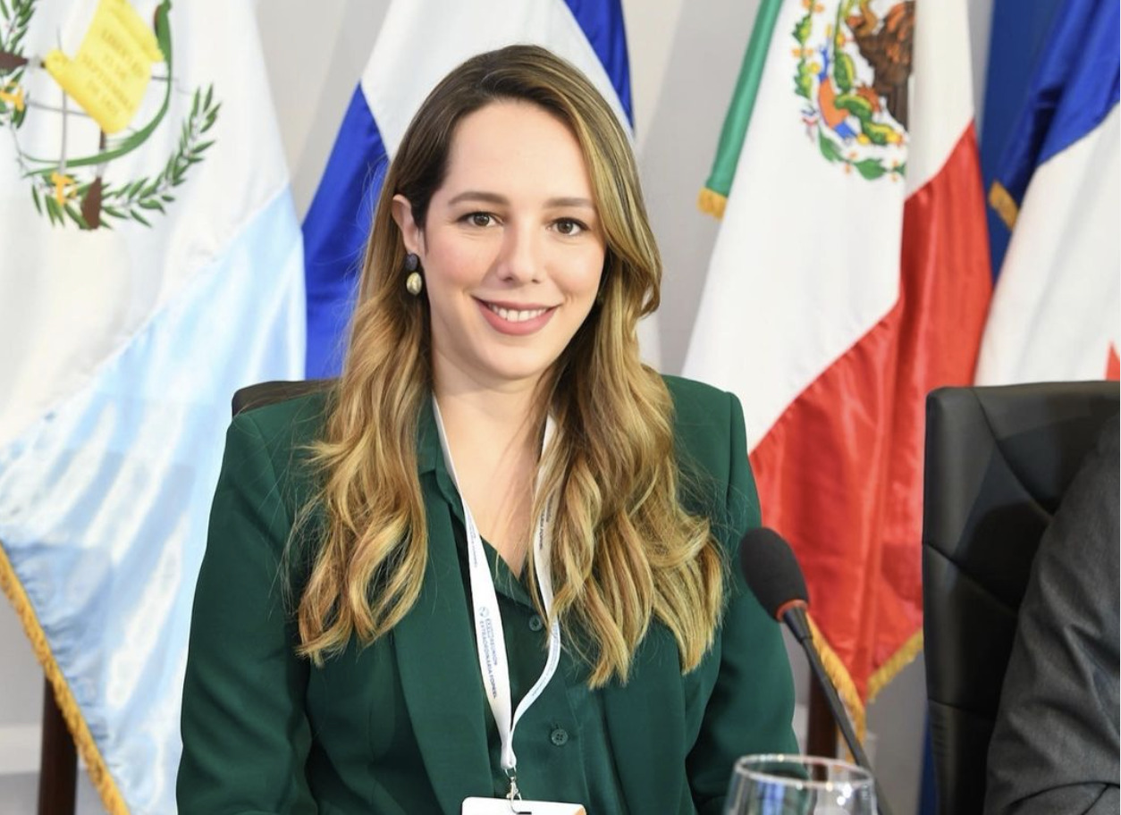 Viceministra Milagros Decamps anuncia que deja el Ministerio de Medio Ambiente a partir de este 16 de agosto