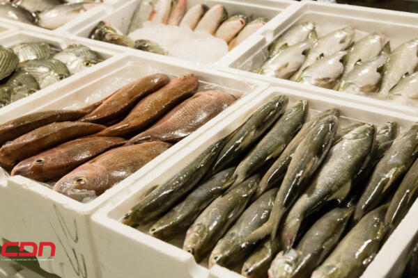 JAD inaugura congreso de sostenibilidad alimentaria de pescado fresco
