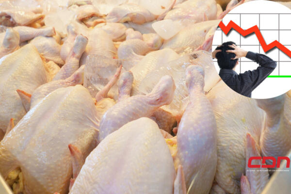  La escasez de carne de pollo continúa siendo un problema crítico