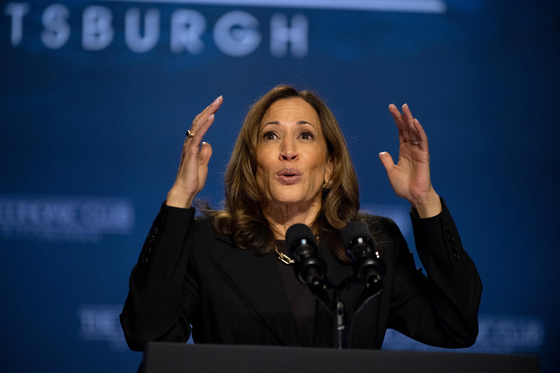 Harris dice que si ganas las elecciones devolverá a EE. UU. el "liderazgo global" de la manufactura