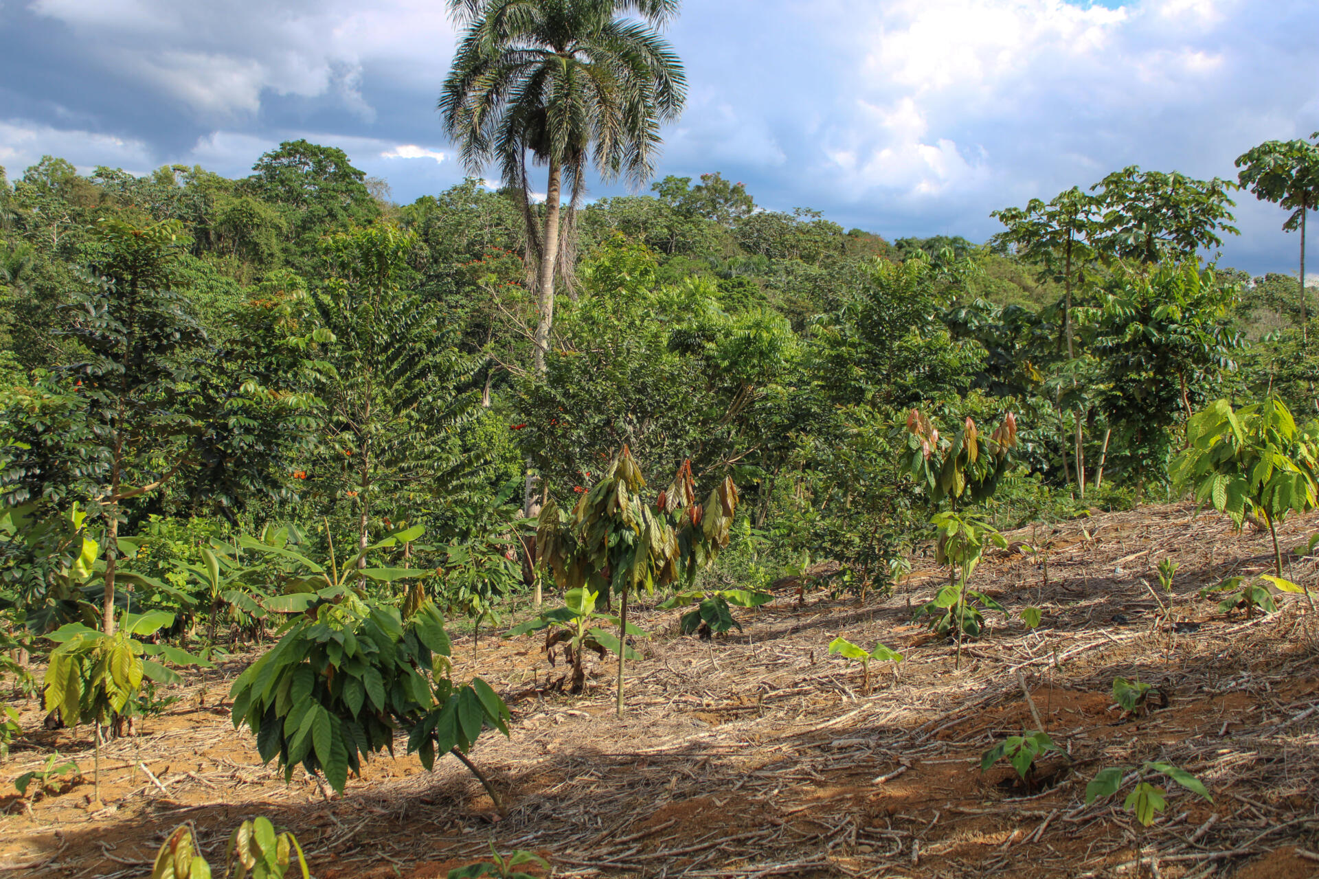 PepsiCo impulsa conservación del agua en RD