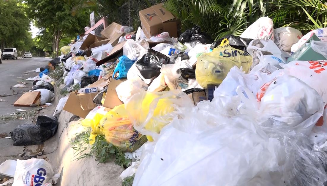 Montañas de basura, plagas y mal olor invaden el municipio de Pantoja