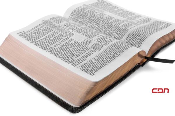 Hoy es Día Nacional de la Biblia. (foto, fuente externa)