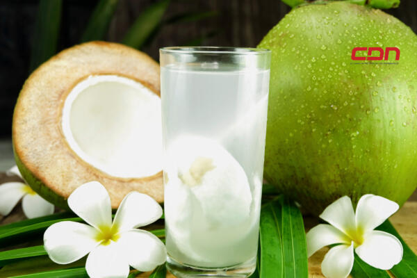 Celebra el Día Mundial del Coco con estas recetas exquisitas 