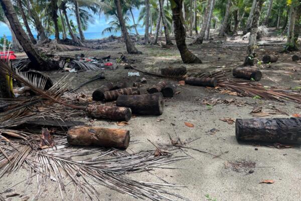 Desmantelan 18 casetas construidas ilegalmente en playa Rogelio de Gaspar Hernández