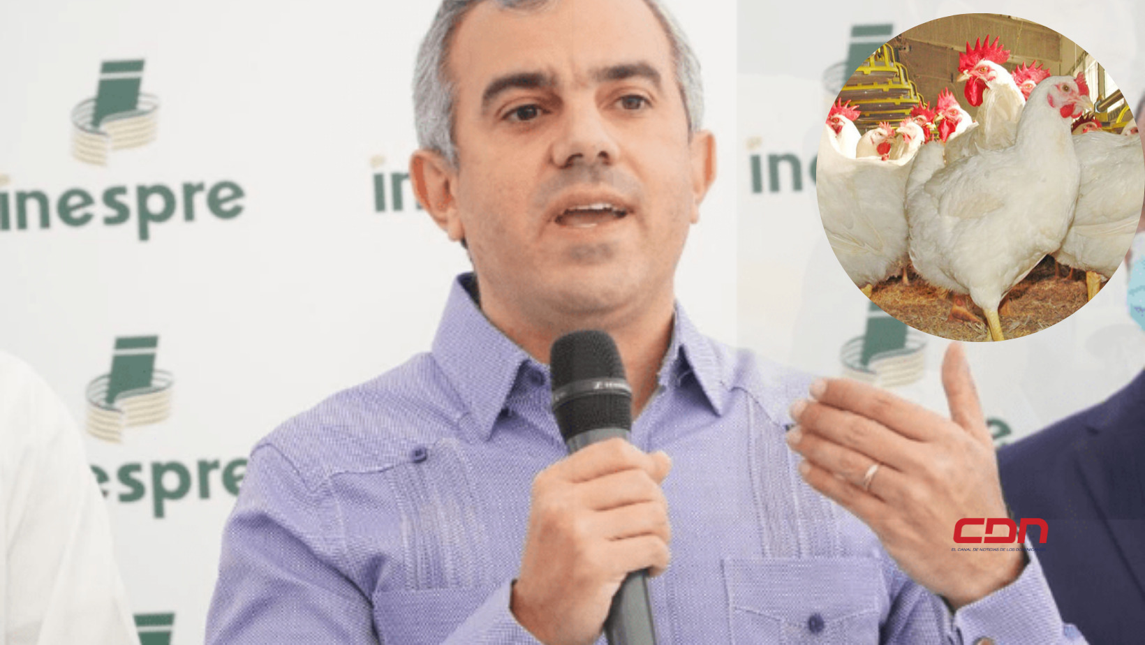 Director de Inespre atribuye escasez de pollo al calor