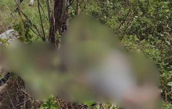 Hallan cadáver de un hombre en la autopista 6 de noviembre