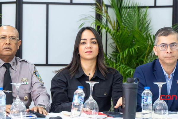 Homicidios bajan al 7.3%, según Faride Raful