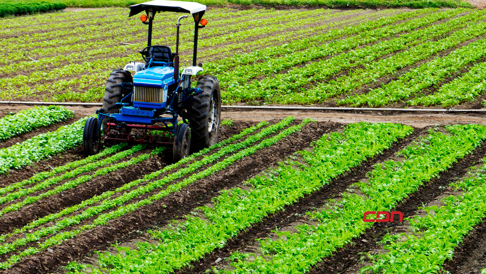 La agricultura es parte esencial de economía
