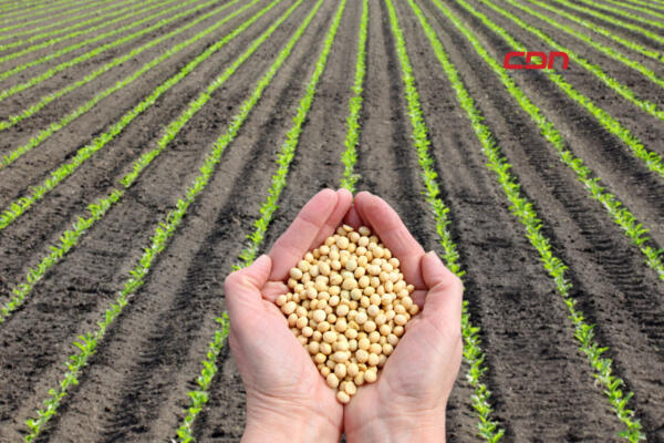 Hoy es Día Mundial de la Agricultura