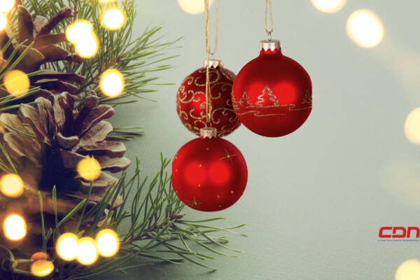 La Navidad y sus realidades