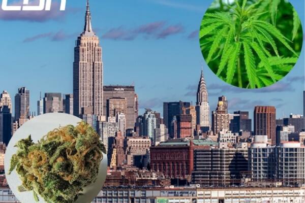 Venta ilegal de cannabis en New York. 