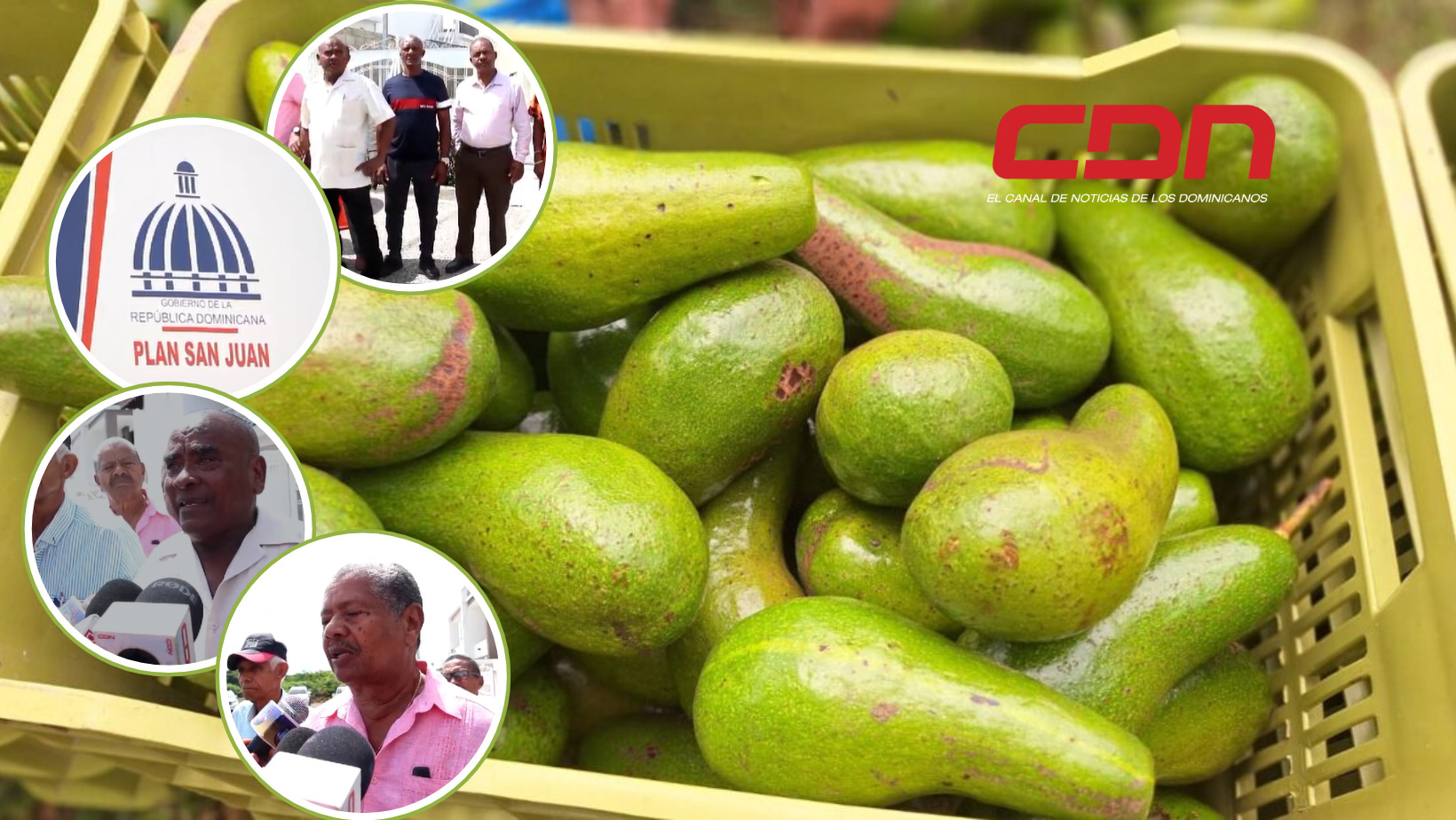 aguacates