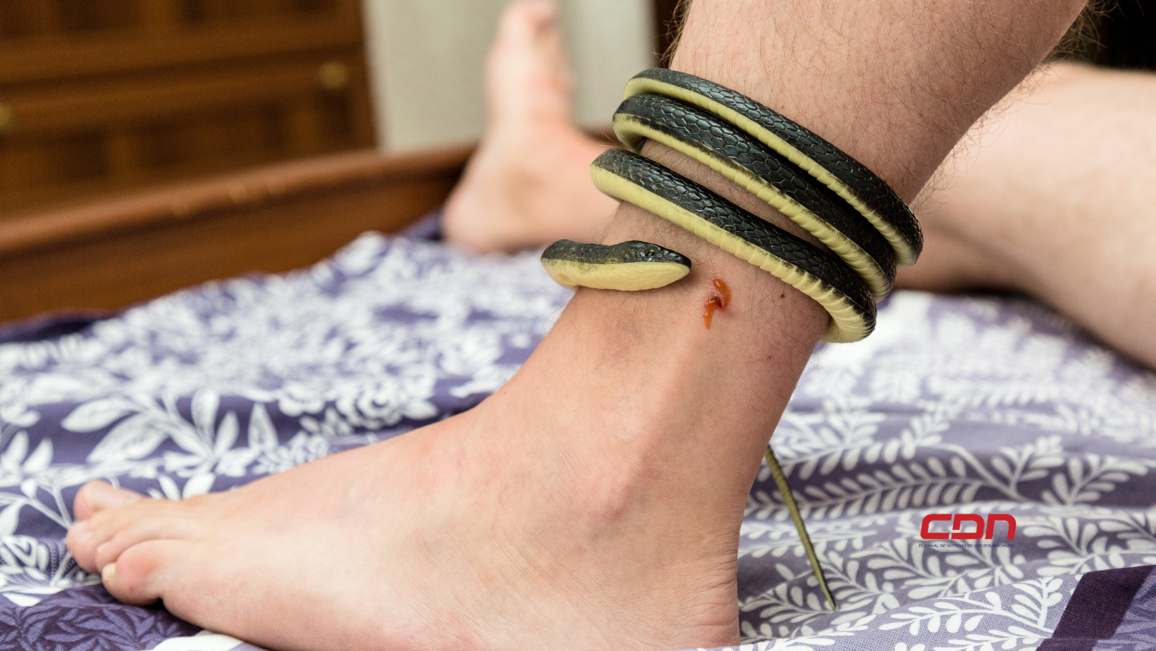 Serpiente