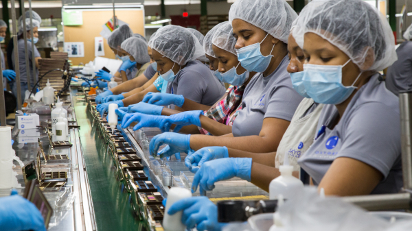 ADOZONA asegura que cargas fiscales restarán competitividad  