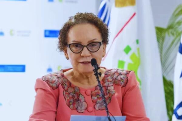 Consejo Nacional de la Magistratura con reto de reunirse para sustituir a Miriam Germán