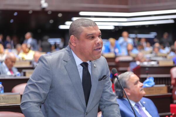 Diputado Ramón Raposo pide al Gobierno intervenir SDN ante deterioro de servicios