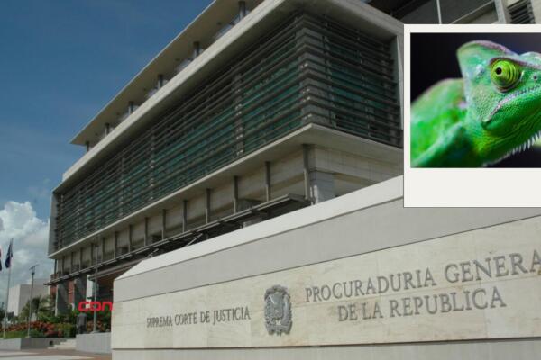 MP depositará en las próximas horas la solicitud de medida de coerción contra detenidos en operación Camaleón. (foto, fuente externa)