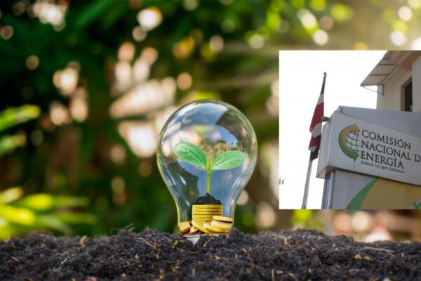 CNE lanza iniciativa 