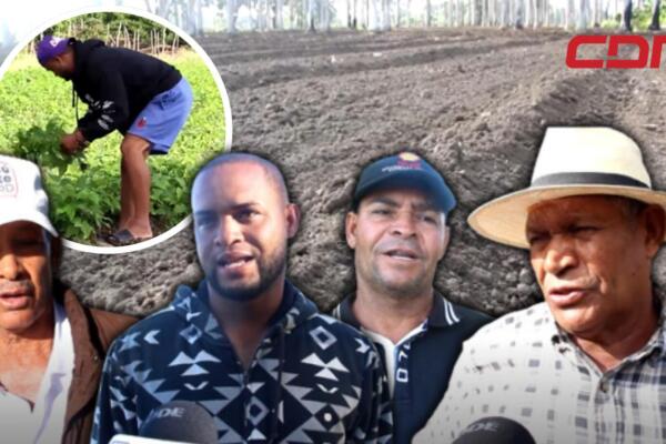 Unos de los principales motivos es el poco apoyo brindado este año desde el Ministerio de Agricultura a los productores de la leguminosa.