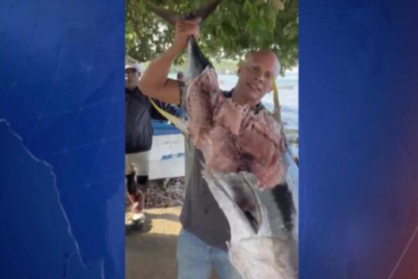 Johan Manuel Bierd también subrayó que el avistamiento de tiburones en las aguas cercanas a Puerto Plata ha aumentado. 