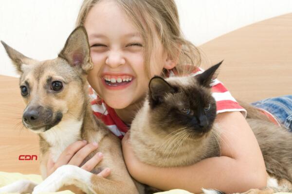 Hoy es Día Mundial de los Animales.(foto, fuente externa)