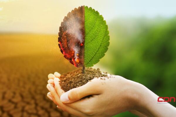 Hoy es Día Internacional contra el Cambio Climático.(foto, fuente externa)