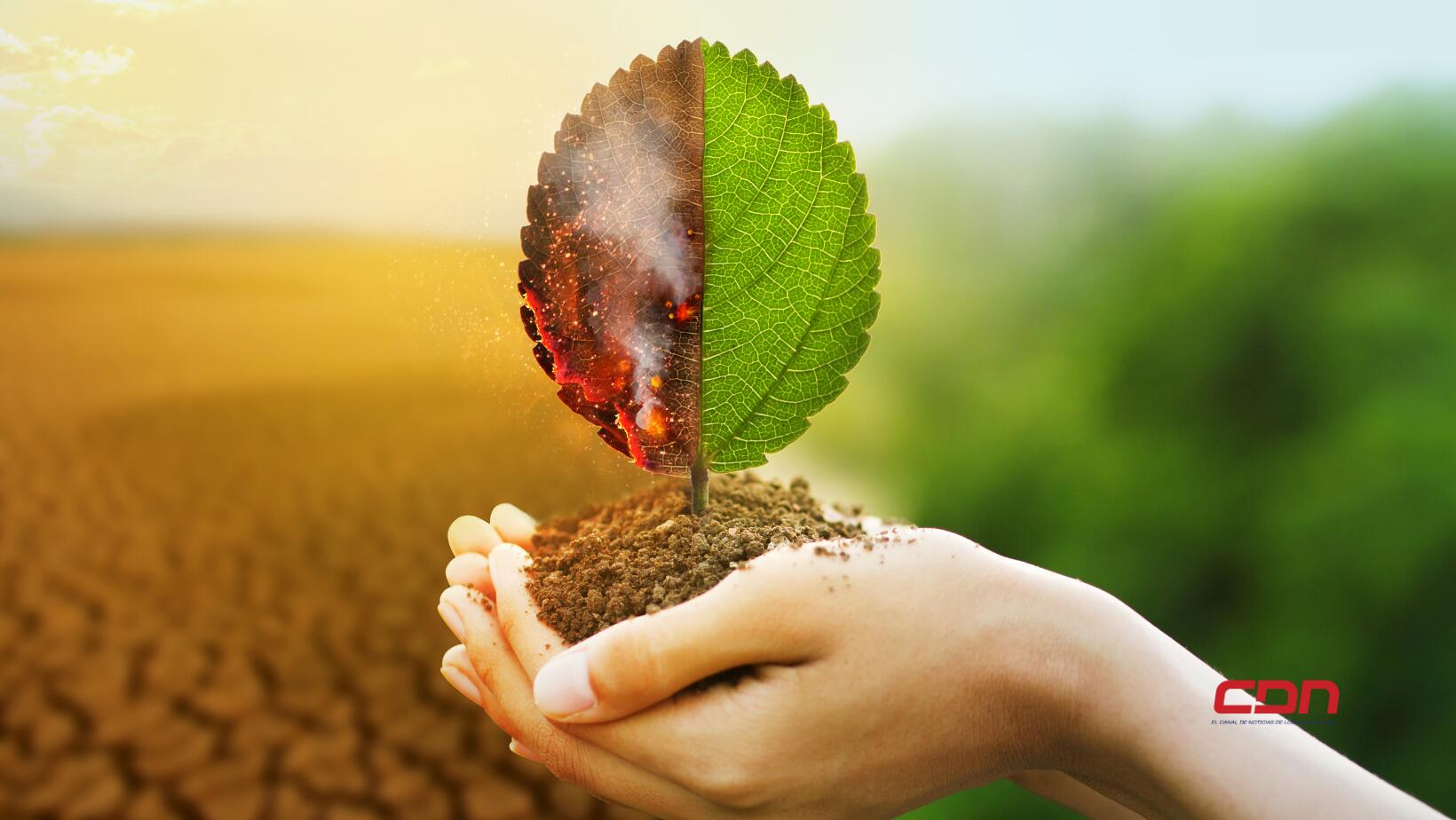 Cambio Climático.