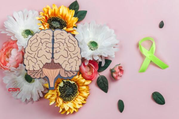 Hoy 10 de octubre es Día Mundial de la Salud Mental.(foto, fuente externno)