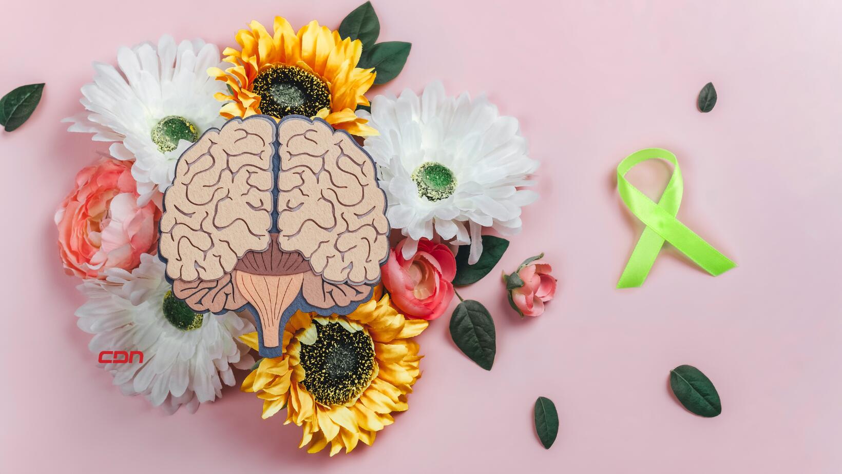 Salud Mental