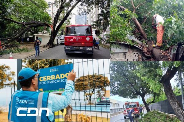 Alcaldía del DN cierra parques y retira árboles caídos 