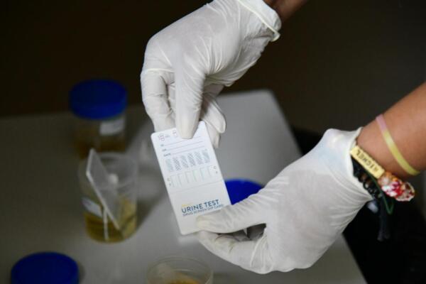 Choferes de Conatra dan negativo a drogas durante operativos realizados por el Intrant