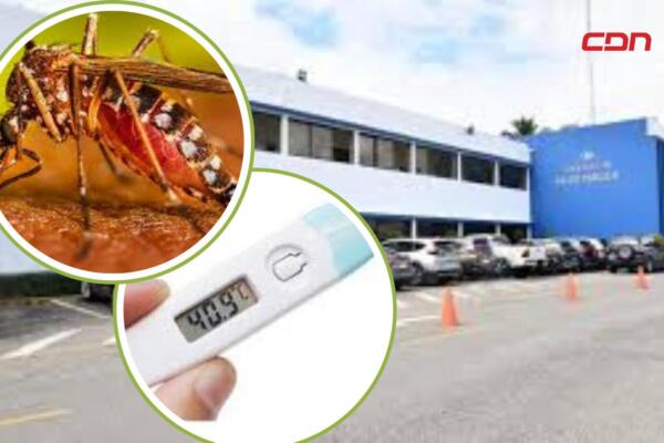 Las enfermedades transmitidas por vectores representan más del 17% de las enfermedades infecciosas. Foto: Fuente externa 