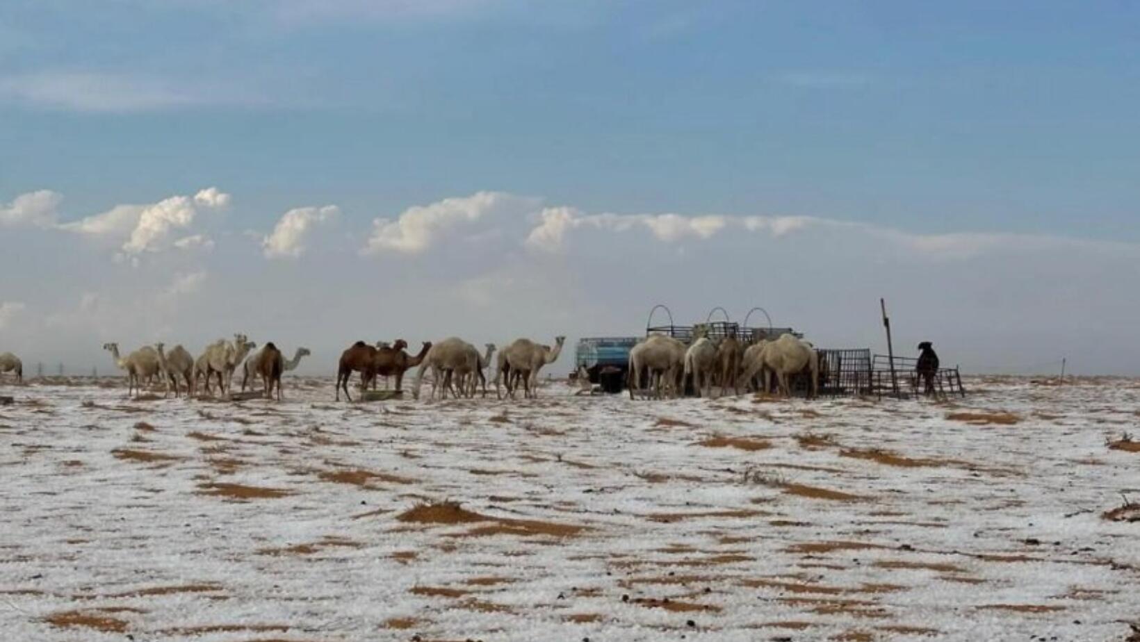 Desierto de Arabia Saudita hace historia con su primera nevada