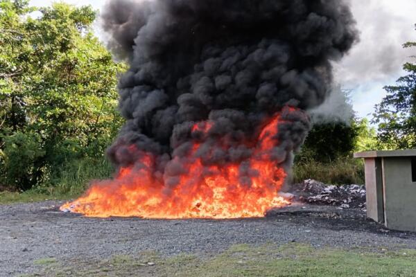 Inacif quema 679 kilogramos de drogas ocupadas en operativos