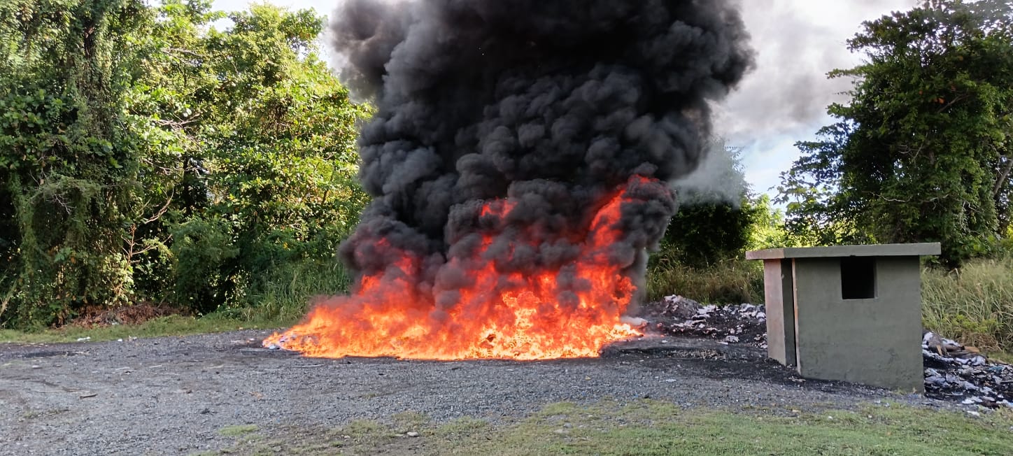 Inacif quema 679 kilogramos de drogas ocupadas en operativos