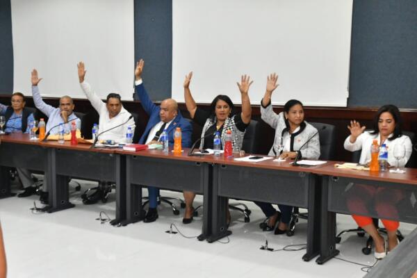 Once concejales de 17 votaron a favor de que se anulara resolución que acogió renuncia de Amparo Custodio.
