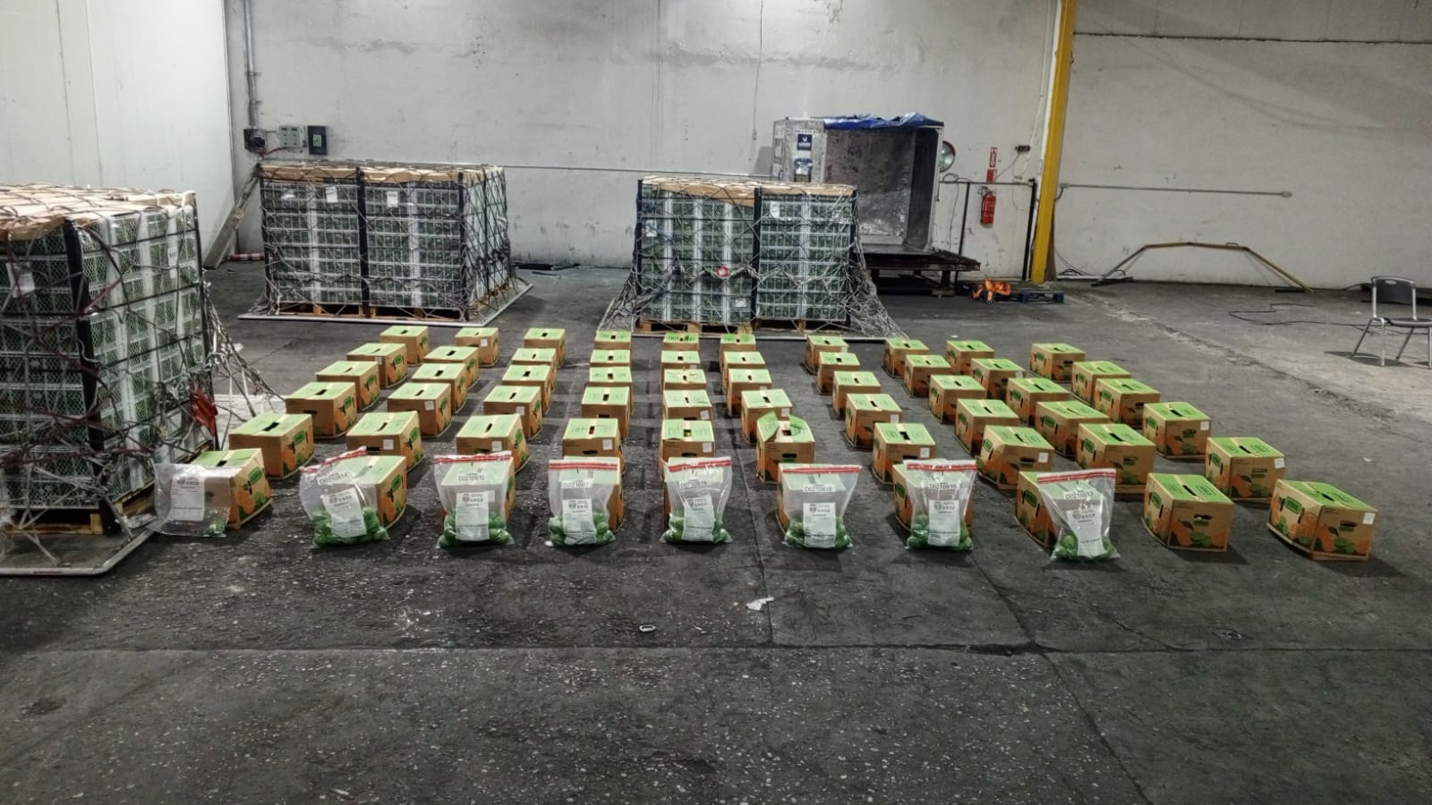 Intervienen carga con 162 limones de cerámica rellenos de cocaína