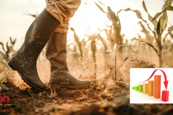 Agricultores en riesgo de quiebra por deuda del gobierno con Agrodosa.(foto, fuente externa)