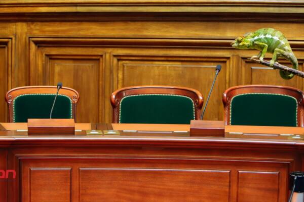 Corte de apelación continúa con conocimiento de recursos de libertad en el caso Camaleón.(foto, fuente externa)