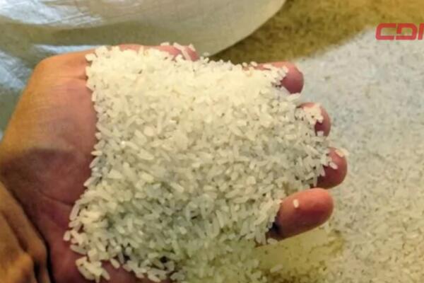 Producción de arroz frente al desmonte arancelario del cereal proveniente de Estados Unidos.