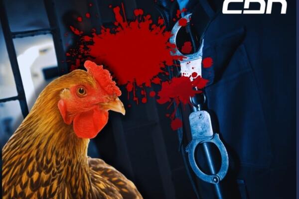 Ladrones de gallinas junto a narcotraficantes: ¿son las cárceles de RD academias del crimen? 