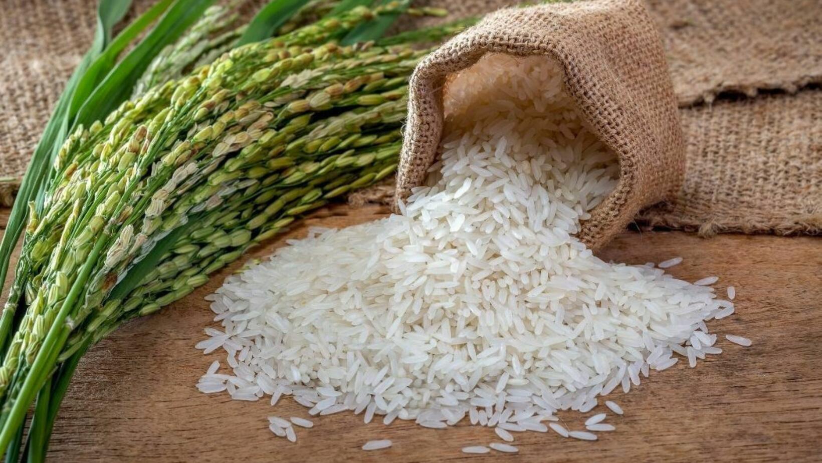 Nuevas medidas arancelarias para el arroz dominicano, ¿qué implica el Decreto 693-24?