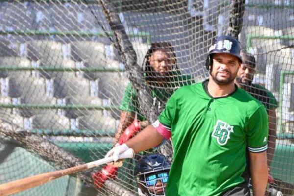 En el béisbol de Grandes Ligas, Telis tiene experiencia de 5 temporadas, repartidas con los Vigilantes de Texas (2) y los Marlins de Miami (4). En 2015 actuó para ambos combinados.