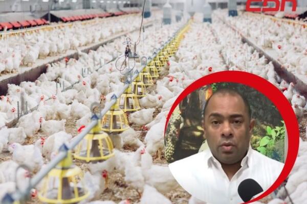Alfranny Ferreira, productor de pollos y miembro del Comité Nacional de Defensa de los pequeños y medianos productores de pollos del país.
